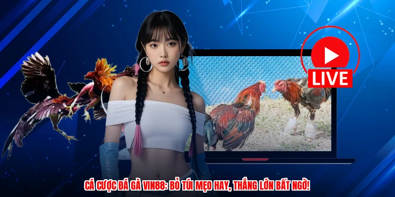 Cá cược đá gà VIN88: Bỏ túi mẹo hay, thắng lớn bất ngờ!