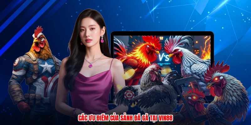 Các ưu điểm của sảnh đá gà tại VIN88
