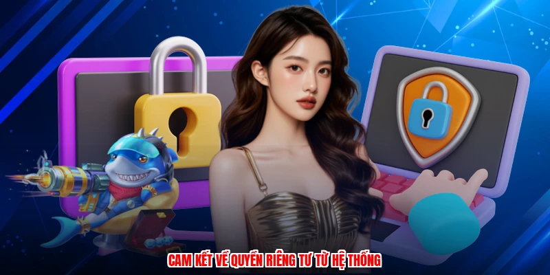 Cam kết về quyền riêng tư từ hệ thống