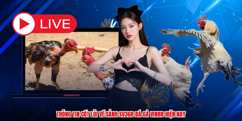 Thông tin cốt lõi về sảnh SV368 đá gà VIN88 hiện nay