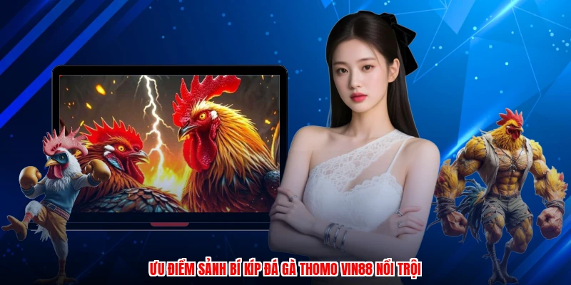 Ưu điểm sảnh bí kíp đá gà thomo VIN88 nổi trội