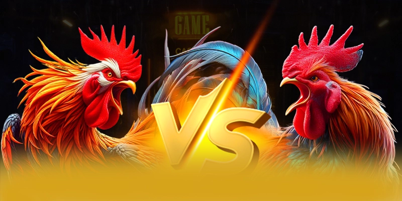 Phản hồi từ cộng đồng người chơi về W88 Phản hồi từ cộng đồng người chơi về W88