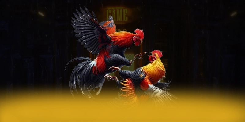Cùng trải nghiệm 8xbet - Sân chơi đẳng cấp 2026 Cùng trải nghiệm 8xbet - Sân chơi đẳng cấp 2026