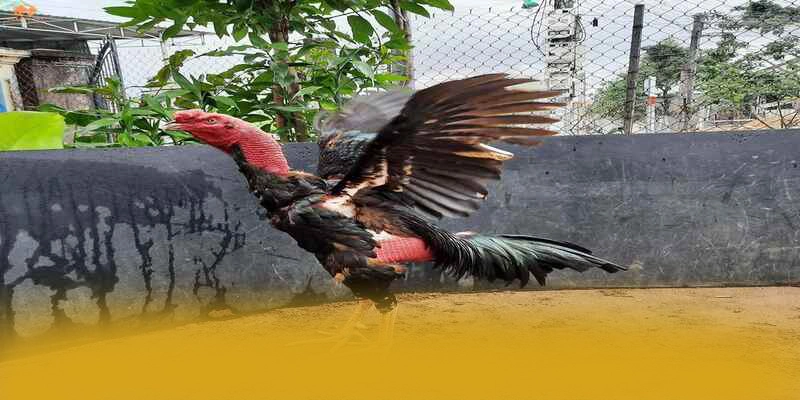 Quy trình thanh toán nhanh chóng và an toàn tại GOOD88